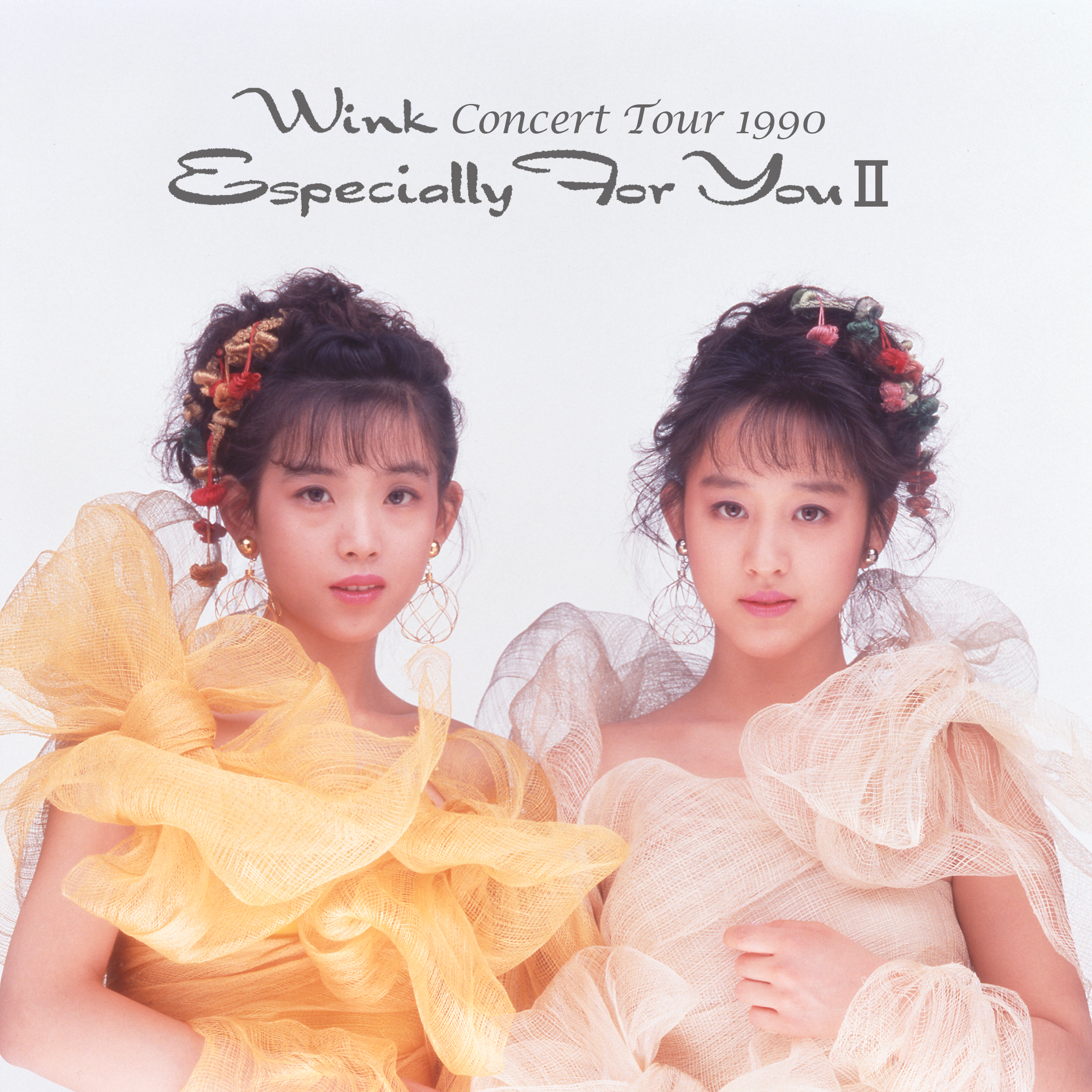 Wink | Wink CONCERT TOUR 1990～Especially For You II